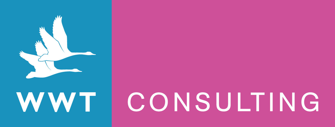 WWT Consulting logo WWT Consulting logo